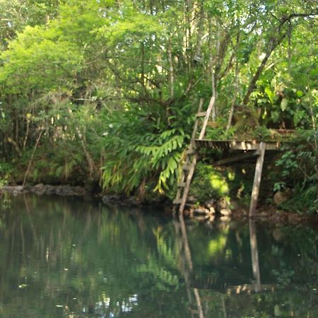 Casa de Campo - Sítio da tia Vera Maquiné Exterior foto